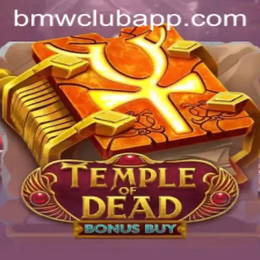 Exploring the Thrills of 'Temple of Dead Bonus Buy' with BMW CLUB Adventures