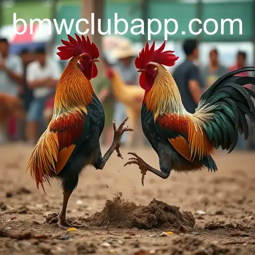 The Rise of Online Sabong and Its Intersection with the BMW Club