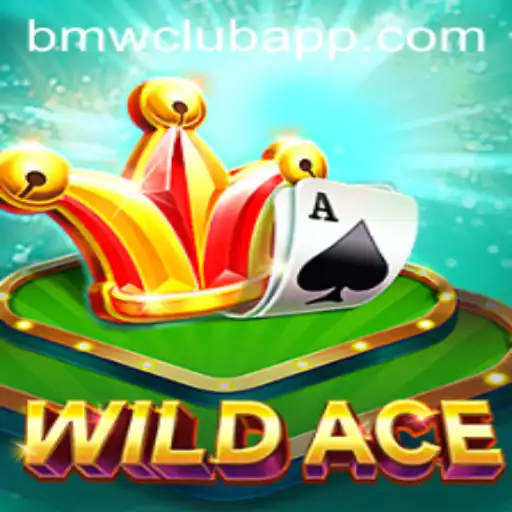 Discover the Thrill of WildAce and Join the BMW CLUB